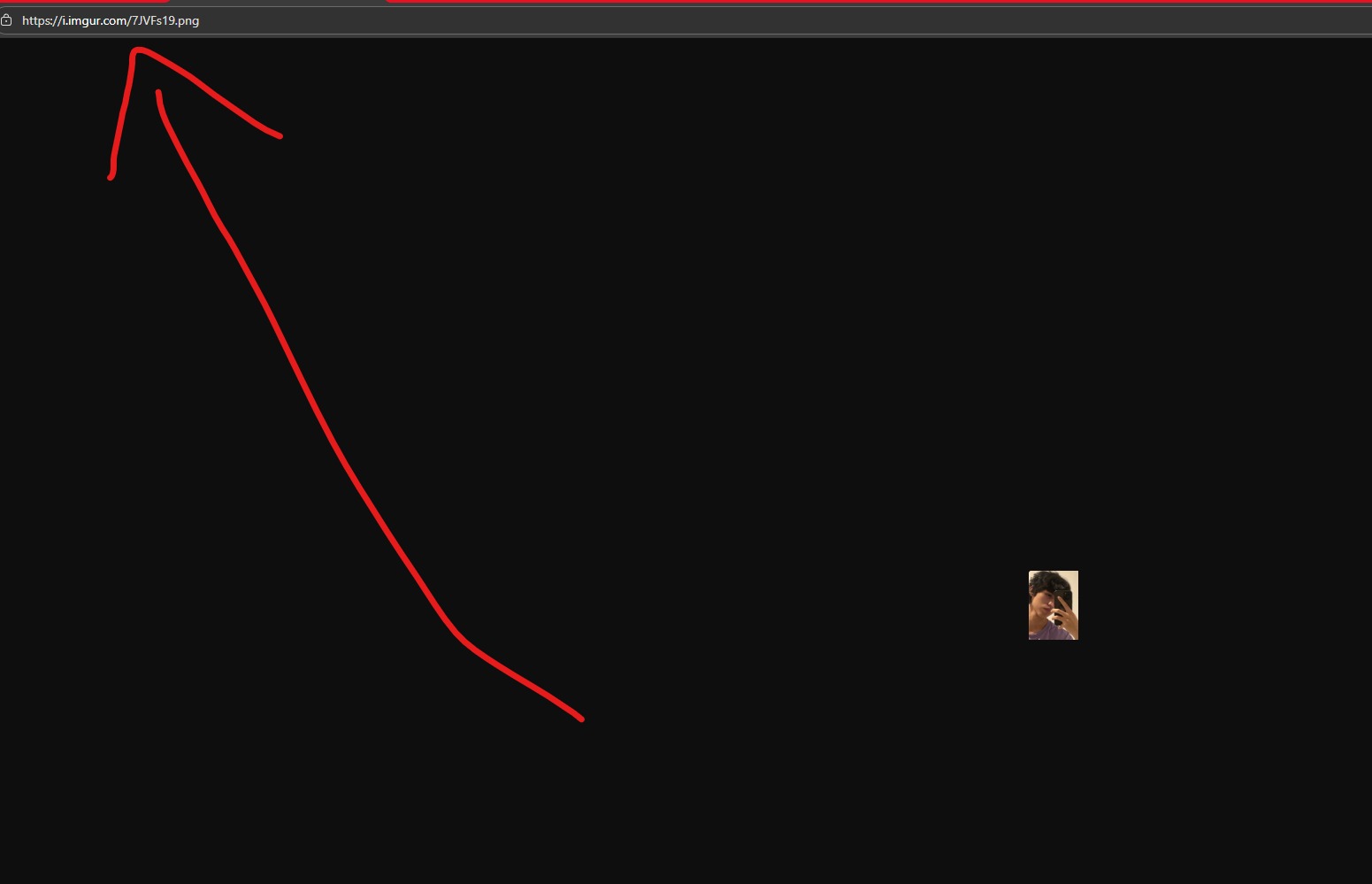 Paso 3: Copiar enlace directo